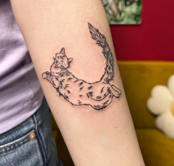 Fijnlijnige kat