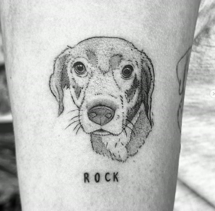 Fijnlijnig hondenportret, 'Rock'